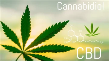 Penggunaan Ganja di Kalangan Anak-anak di AS Meningkat Lebih dari 240% Sejak ...